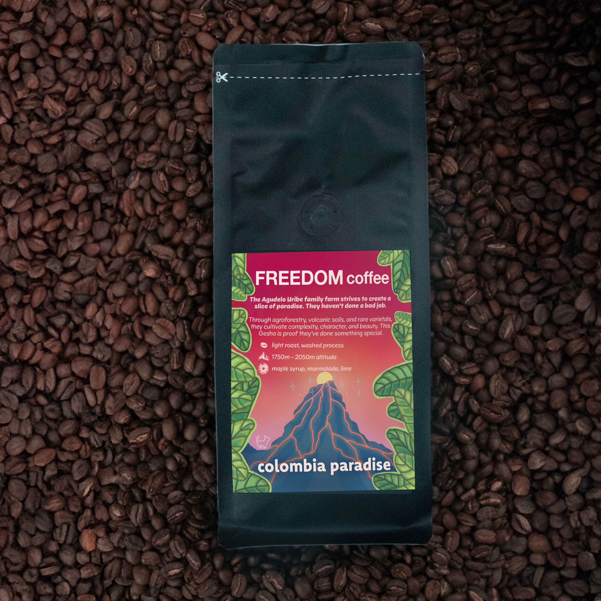 Affordable Colombian Gesha, locally Roasted in Kent | Colombia