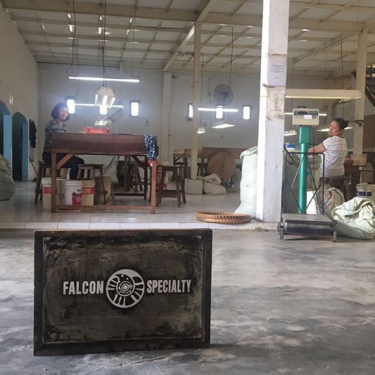 Indonesia - "pineapple sisters"