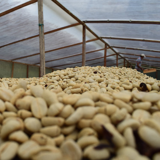 Colombia - "butterscotch decaf"