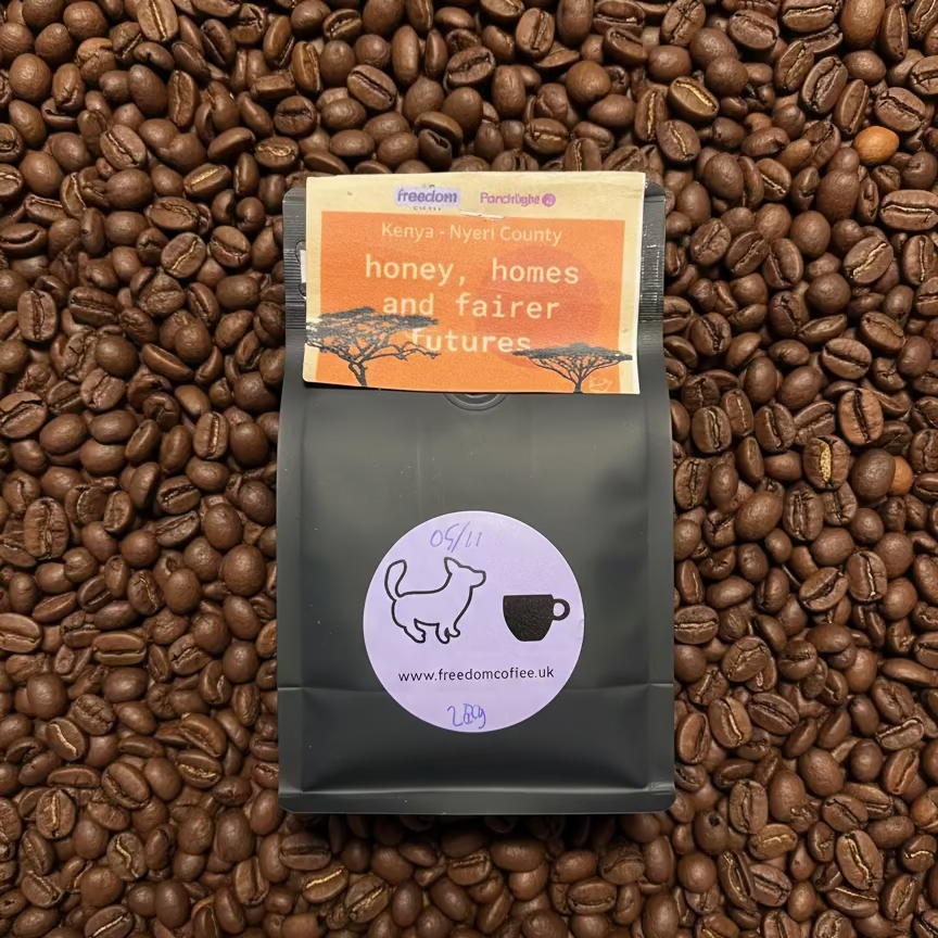 Kenya - "honey, homes and fairer futures"