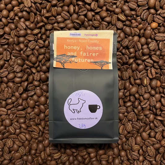 Kenya - "honey, homes and fairer futures"