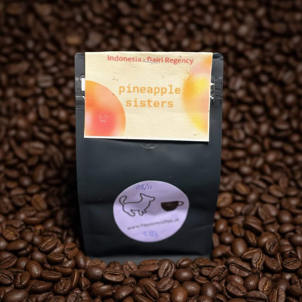 Indonesia - "pineapple sisters"