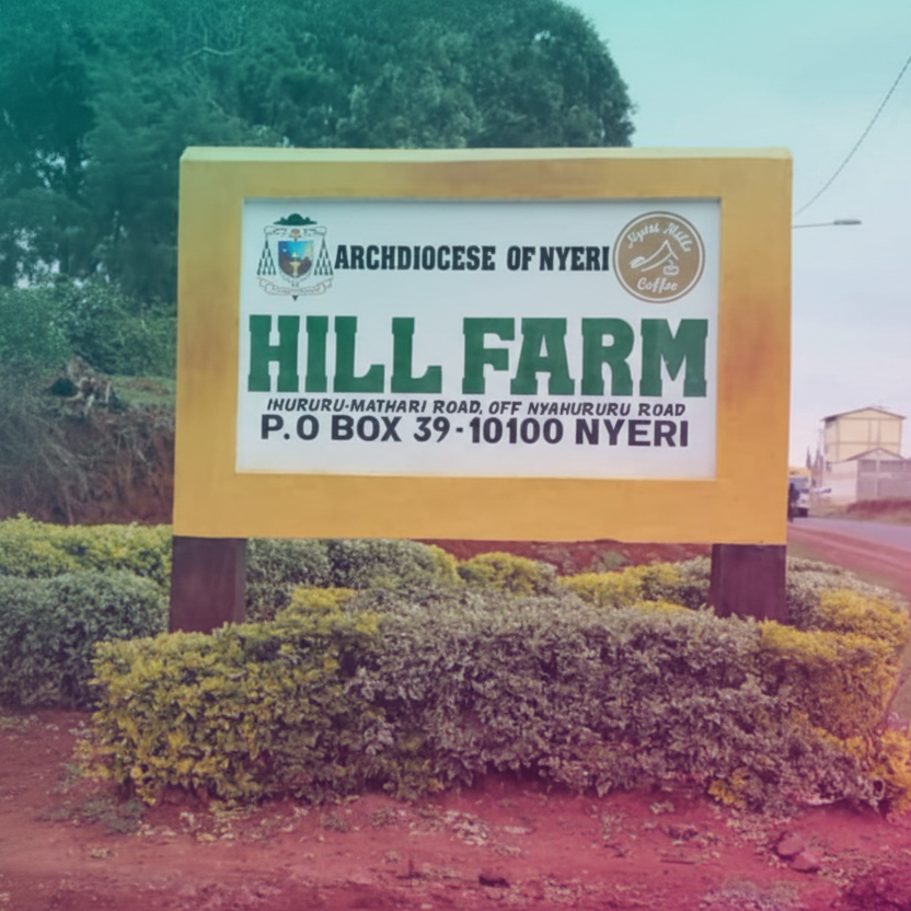 [new] Kenya - Mango Mountain