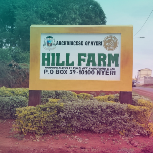 [new] Kenya - Mango Mountain