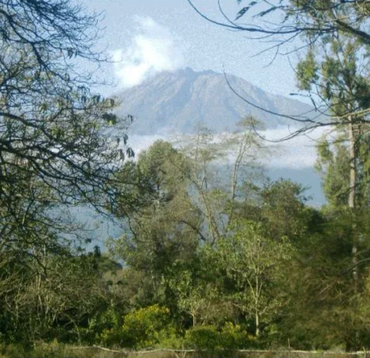 Tanzania - caramel mondul