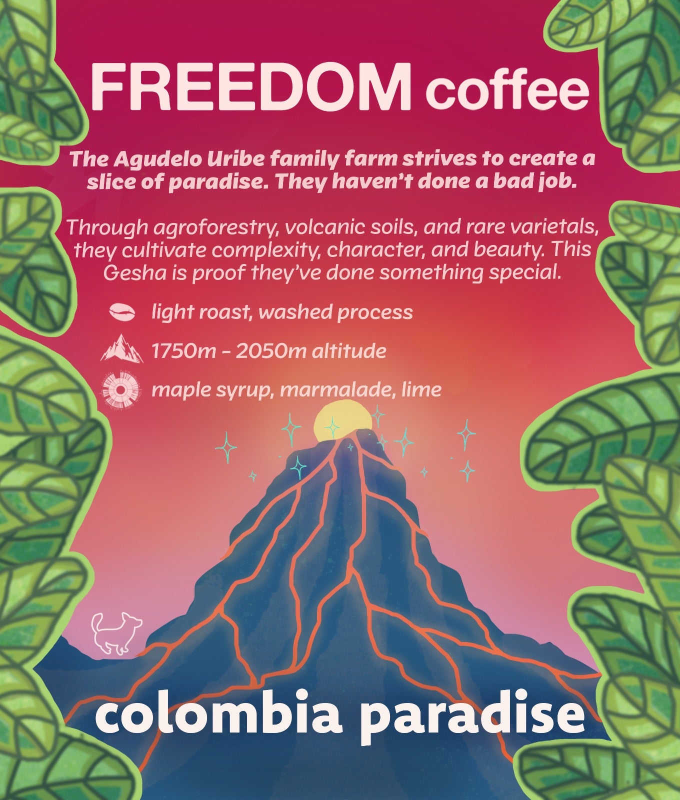Colombia Paradise