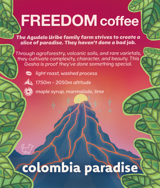 Colombia Paradise