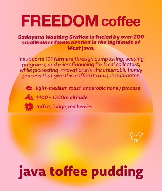 Java Toffee Pudding