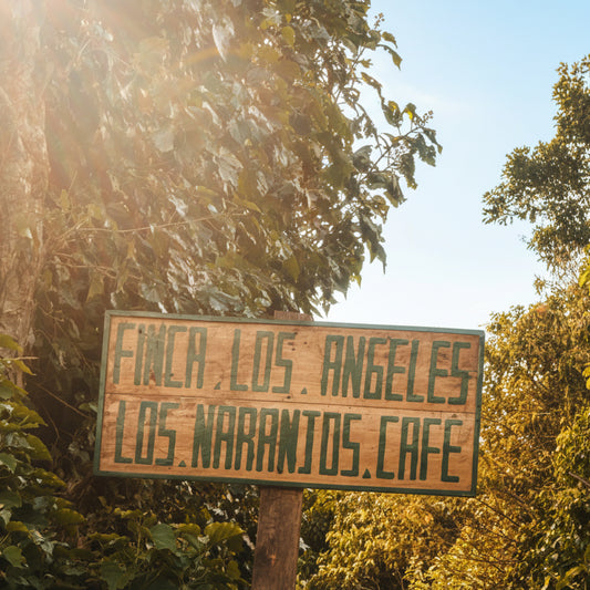 El Salvador - los angeles sunshine