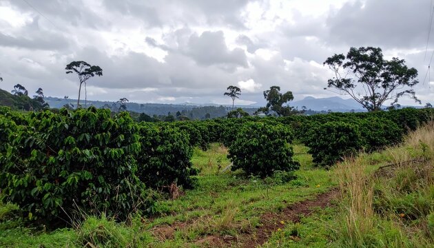 Kenya - "honey, homes and fairer futures"